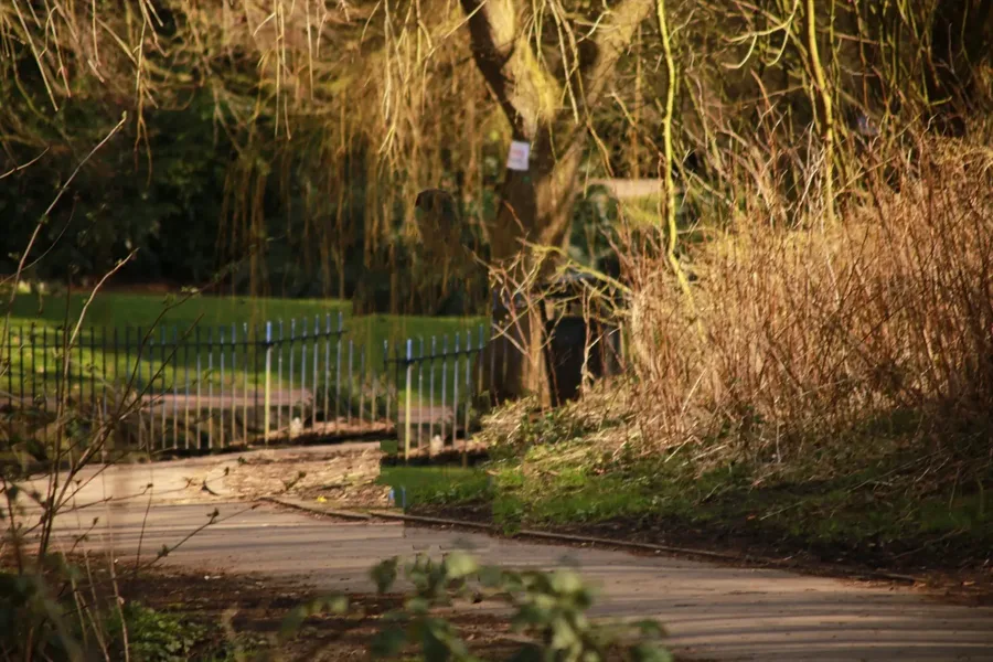 Outdoor obedience training