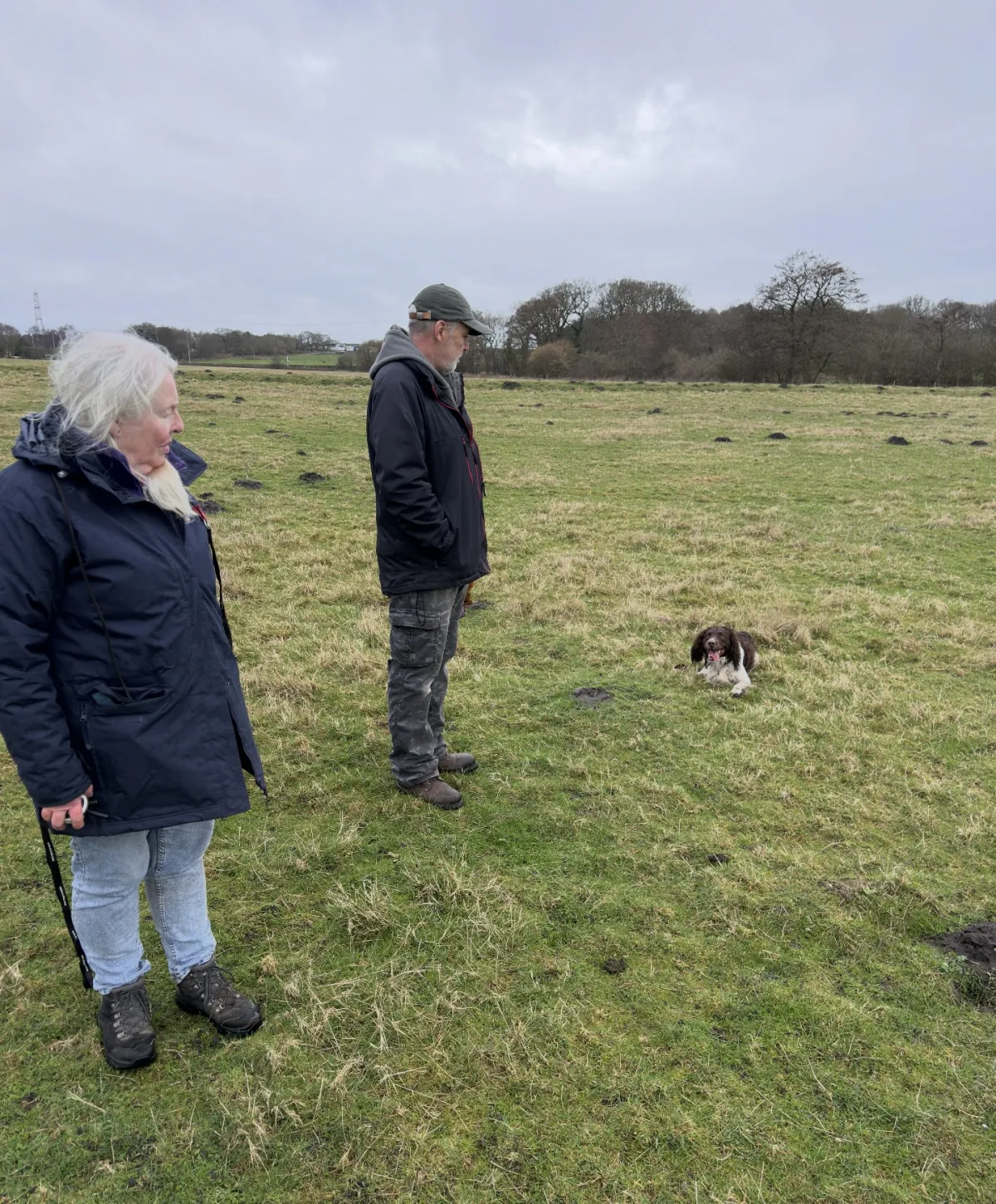 E-Collar Dog Training Liverpool | Unleashed K9