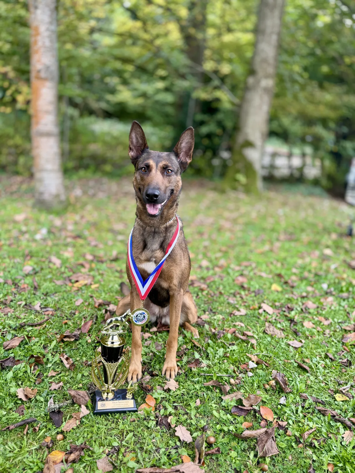 Danny Wells trained protection dog with competition award
