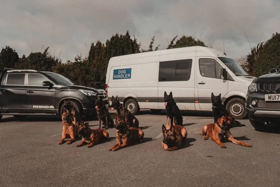 Protection training session